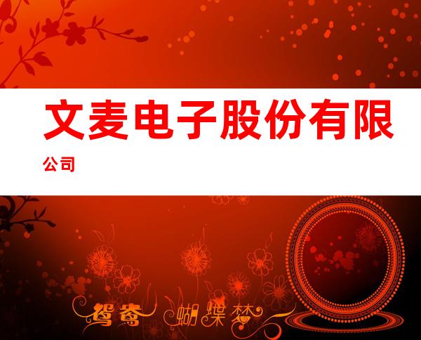 文麦电子股份有限公司